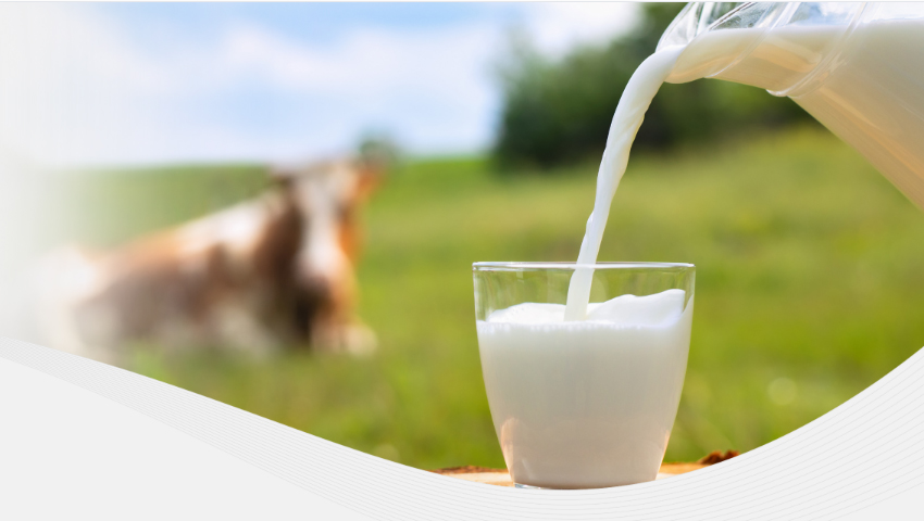 UVB LED Light Beads Revolutionize Milk Processing for Enhanced Vitamin D3 Production - News - 1